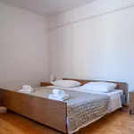 Antula بريغراديكا