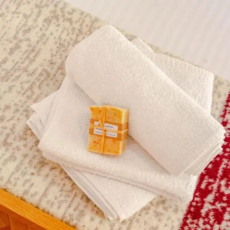 Antula Apartament Prigradica